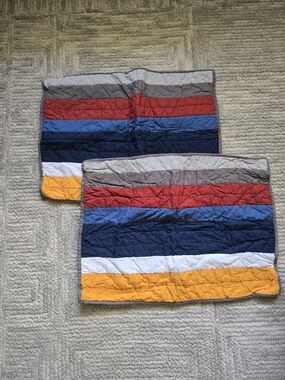 Pottery Barn Teen set of 2 standard shams